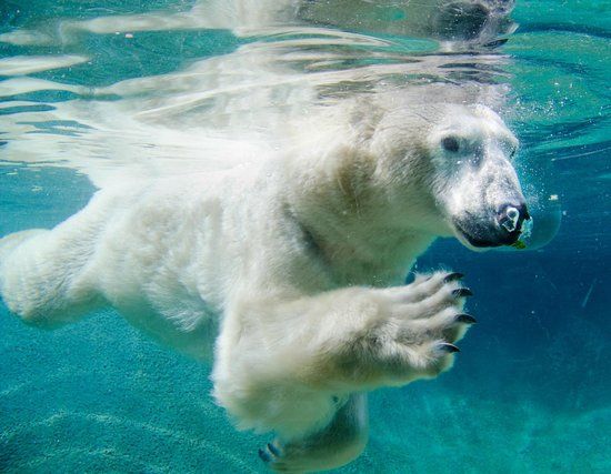 Point Defiance Zoo and Aquarium